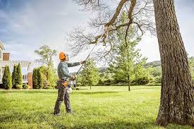 Best Emergency Tree Removal  in Sundown, TX